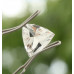 Topas 2,19 ct