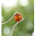 Spessartin 0,57 ct