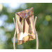 Citrin 13,63 ct