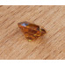 Zirkon 2,29 ct